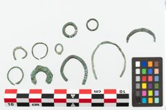 Foto von Bronzering (NHMW-PRAE-078071)